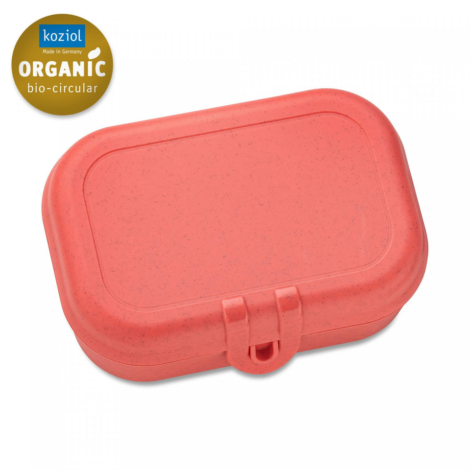 PASCAL S LUNCHBOX NATURE CORAL