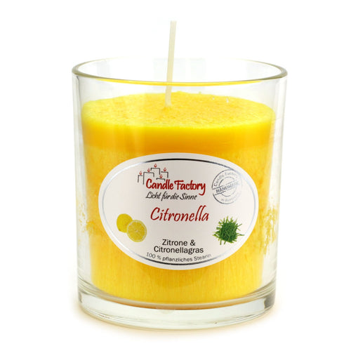 Partylight - Citronella - Glück schenken...